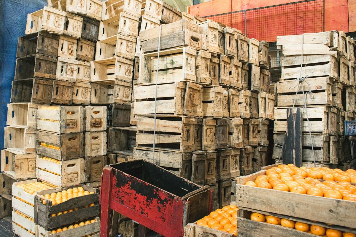 Caixas de madeira empilhadas com laranjas